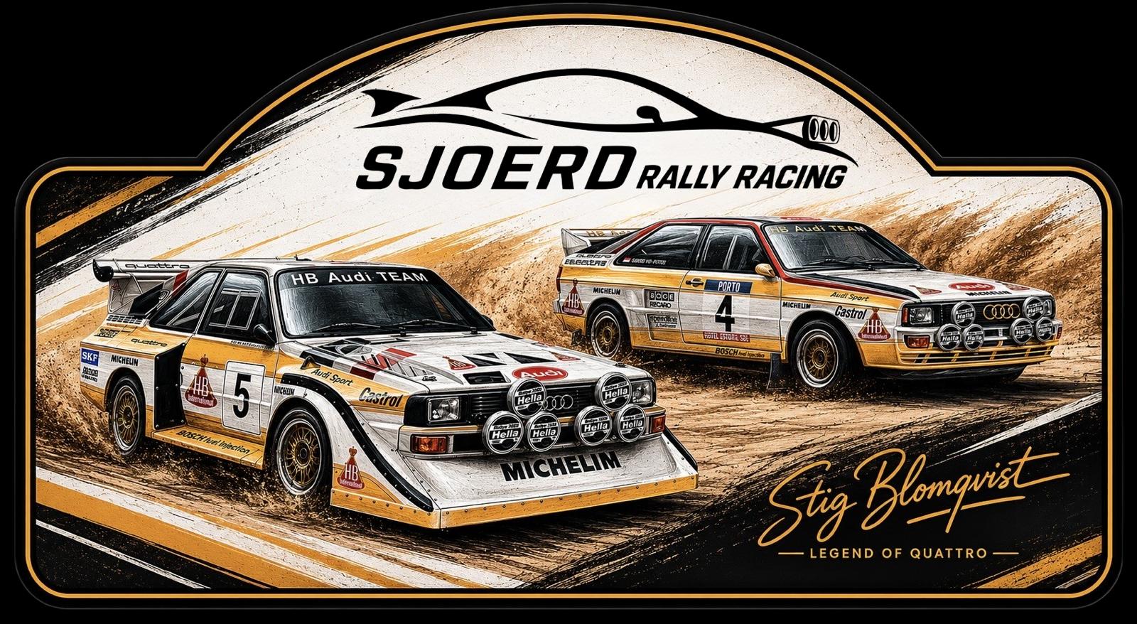 Rally bord
